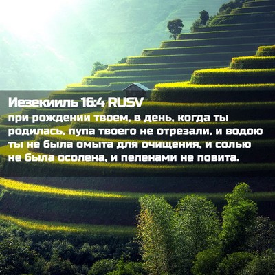Picture 02 - Иезекииль 16:4 RUSV - при рождении твоем, в день, - Bible Verse Picture