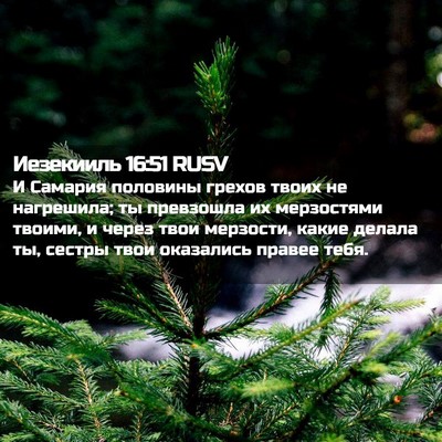 Picture 02 - Иезекииль 16:51 RUSV - И Самария половины грехов - Bible Verse Picture