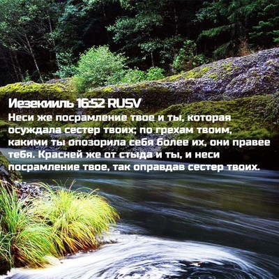 Picture 02 - Иезекииль 16:52 RUSV - Неси же посрамление твое и - Bible Verse Picture