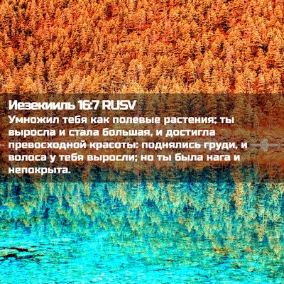 Picture 02 - Иезекииль 16:7 RUSV - Умножил тебя как полевые - Bible Verse Picture