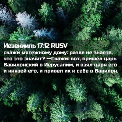 Picture 02 - Иезекииль 17:12 RUSV - скажи мятежному дому: - Bible Verse Picture