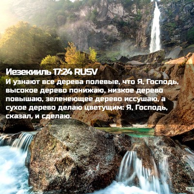 Picture 02 - Иезекииль 17:24 RUSV - И узнают все дерева - Bible Verse Picture