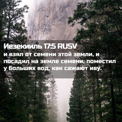 Picture 02 - Иезекииль 17:5 RUSV - и взял от семени этой - Bible Verse Picture