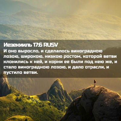 Picture 02 - Иезекииль 17:6 RUSV - И оно выросло, и сделалось - Bible Verse Picture