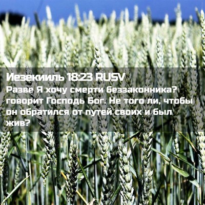 Picture 02 - Иезекииль 18:23 RUSV - Разве Я хочу смерти - Bible Verse Picture