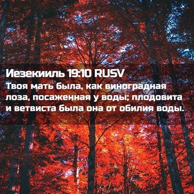 Picture 02 - Иезекииль 19:10 RUSV - Твоя мать была, как - Bible Verse Picture