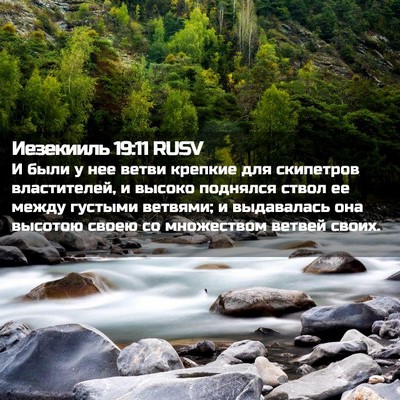 Picture 02 - Иезекииль 19:11 RUSV - И были у нее ветви крепкие - Bible Verse Picture