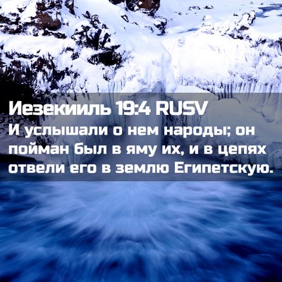 Picture 02 - Иезекииль 19:4 RUSV - И услышали о нем народы; он - Bible Verse Picture