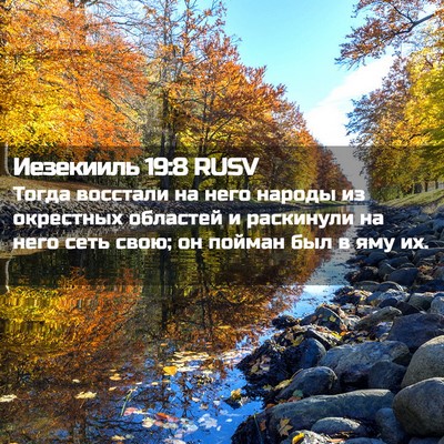 Picture 02 - Иезекииль 19:8 RUSV - Тогда восстали на него - Bible Verse Picture