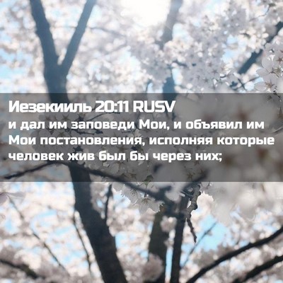 Picture 02 - Иезекииль 20:11 RUSV - и дал им заповеди Мои, и - Bible Verse Picture