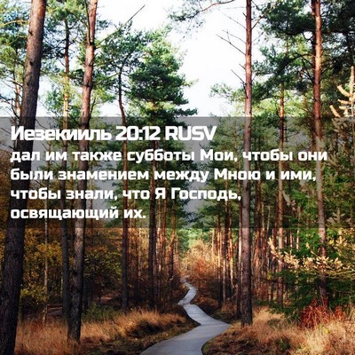 Picture 02 - Иезекииль 20:12 RUSV - дал им также субботы Мои, - Bible Verse Picture