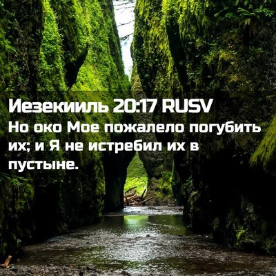 Picture 02 - Иезекииль 20:17 RUSV - Но око Мое пожалело - Bible Verse Picture