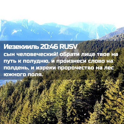 Picture 02 - Иезекииль 20:46 RUSV - сын человеческий! обрати - Bible Verse Picture
