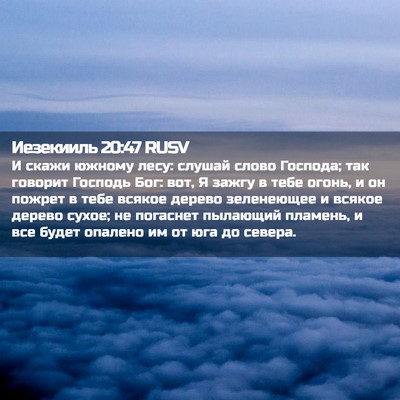 Picture 02 - Иезекииль 20:47 RUSV - И скажи южному лесу: слушай - Bible Verse Picture