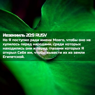 Picture 02 - Иезекииль 20:9 RUSV - Но Я поступил ради имени - Bible Verse Picture