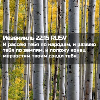 Picture 02 - Иезекииль 22:15 RUSV - И рассею тебя по народам, и - Bible Verse Picture