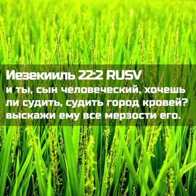 Picture 02 - Иезекииль 22:2 RUSV - и ты, сын человеческий, - Bible Verse Picture