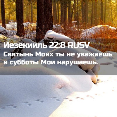 Picture 02 - Иезекииль 22:8 RUSV - Святынь Моих ты не - Bible Verse Picture