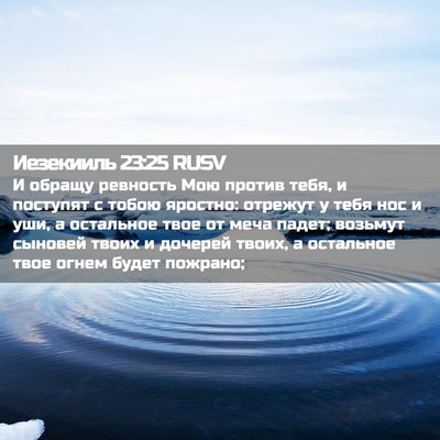 Picture 02 - Иезекииль 23:25 RUSV - И обращу ревность Мою - Bible Verse Picture