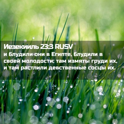 Picture 02 - Иезекииль 23:3 RUSV - и блудили они в Египте, - Bible Verse Picture