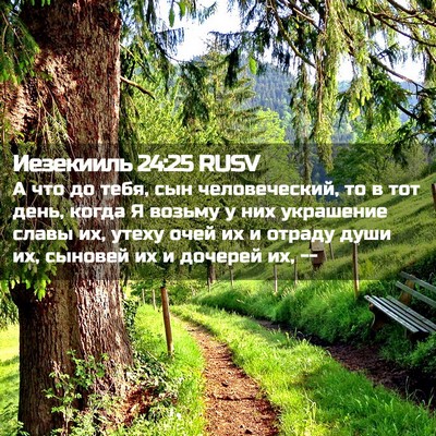Picture 02 - Иезекииль 24:25 RUSV - А что до тебя, сын - Bible Verse Picture