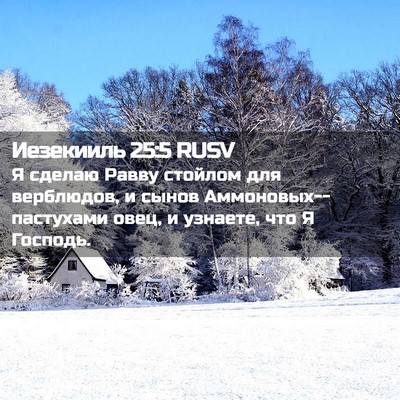 Picture 02 - Иезекииль 25:5 RUSV - Я сделаю Равву стойлом для - Bible Verse Picture