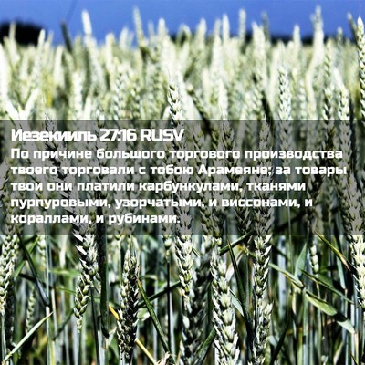 Picture 02 - Иезекииль 27:16 RUSV - По причине большого - Bible Verse Picture