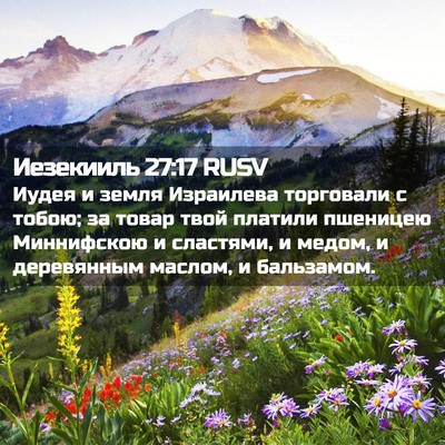 Picture 02 - Иезекииль 27:17 RUSV - Иудея и земля Израилева - Bible Verse Picture
