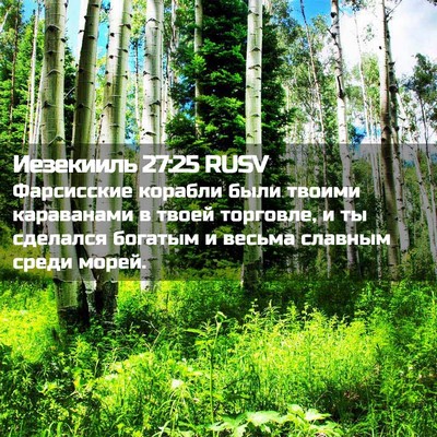 Picture 02 - Иезекииль 27:25 RUSV - Фарсисские корабли были - Bible Verse Picture