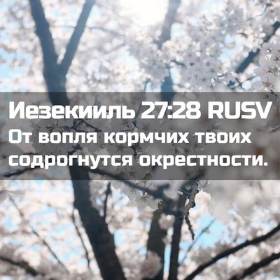 Picture 02 - Иезекииль 27:28 RUSV - От вопля кормчих твоих - Bible Verse Picture