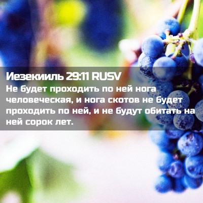 Picture 02 - Иезекииль 29:11 RUSV - Не будет проходить по ней - Bible Verse Picture