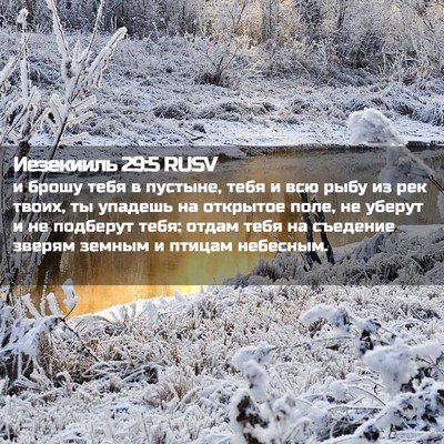 Picture 02 - Иезекииль 29:5 RUSV - и брошу тебя в пустыне, - Bible Verse Picture