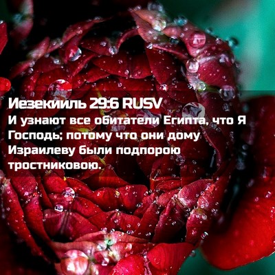 Picture 02 - Иезекииль 29:6 RUSV - И узнают все обитатели - Bible Verse Picture