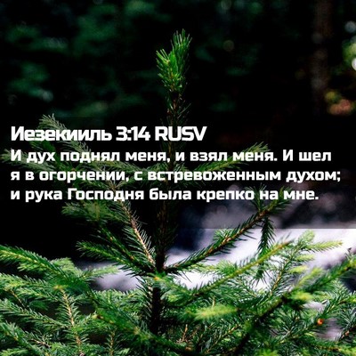 Picture 02 - Иезекииль 3:14 RUSV - И дух поднял меня, и взял - Bible Verse Picture