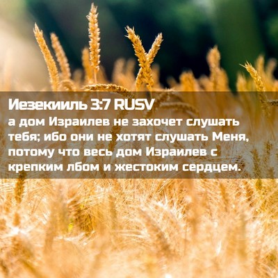 Picture 02 - Иезекииль 3:7 RUSV - а дом Израилев не захочет - Bible Verse Picture