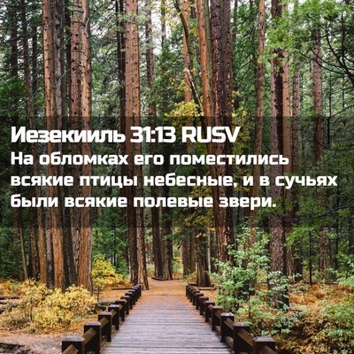 Picture 02 - Иезекииль 31:13 RUSV - На обломках его - Bible Verse Picture