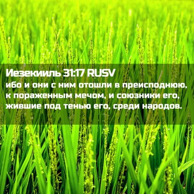 Picture 02 - Иезекииль 31:17 RUSV - ибо и они с ним отошли в - Bible Verse Picture