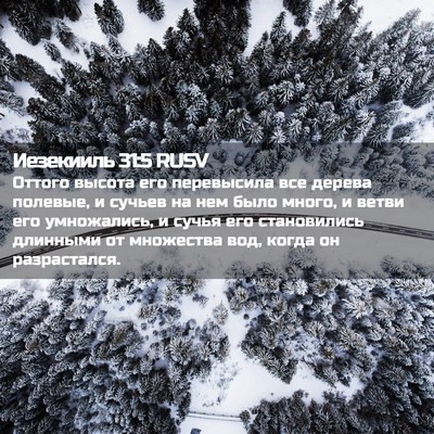 Picture 02 - Иезекииль 31:5 RUSV - Оттого высота его - Bible Verse Picture