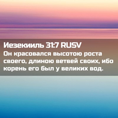 Picture 02 - Иезекииль 31:7 RUSV - Он красовался высотою - Bible Verse Picture
