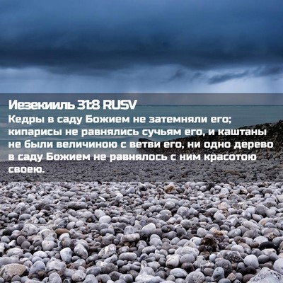 Picture 02 - Иезекииль 31:8 RUSV - Кедры в саду Божием не - Bible Verse Picture