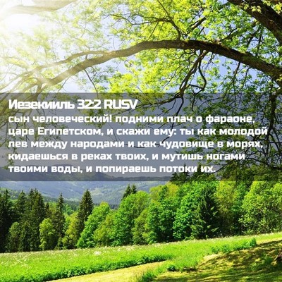 Picture 02 - Иезекииль 32:2 RUSV - сын человеческий! подними - Bible Verse Picture