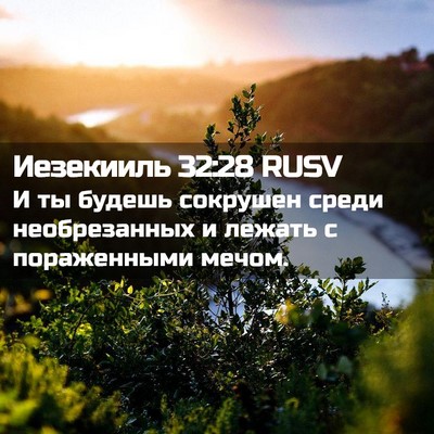 Picture 02 - Иезекииль 32:28 RUSV - И ты будешь сокрушен среди - Bible Verse Picture