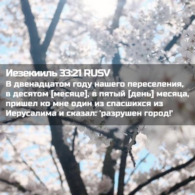 Picture 02 - Иезекииль 33:21 RUSV - В двенадцатом году нашего - Bible Verse Picture