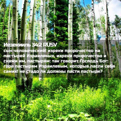 Picture 02 - Иезекииль 34:2 RUSV - сын человеческий! изреки - Bible Verse Picture
