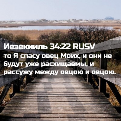 Picture 02 - Иезекииль 34:22 RUSV - то Я спасу овец Моих, и они - Bible Verse Picture