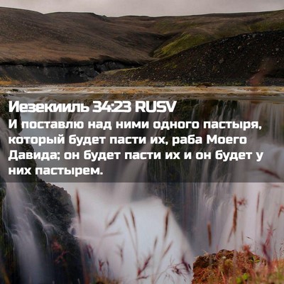 Picture 02 - Иезекииль 34:23 RUSV - И поставлю над ними одного - Bible Verse Picture