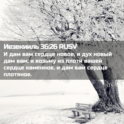 Picture 02 - Иезекииль 36:26 RUSV - И дам вам сердце новое, и - Bible Verse Picture