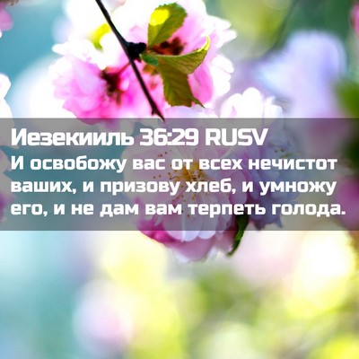 Picture 02 - Иезекииль 36:29 RUSV - И освобожу вас от всех - Bible Verse Picture