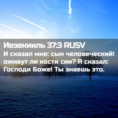 Picture 02 - Иезекииль 37:3 RUSV - И сказал мне: сын - Bible Verse Picture