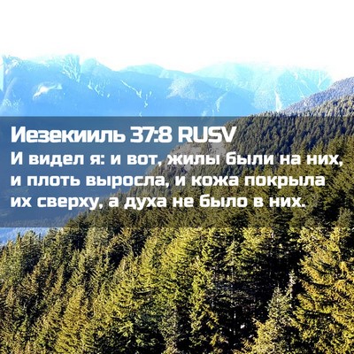 Picture 02 - Иезекииль 37:8 RUSV - И видел я: и вот, жилы были - Bible Verse Picture